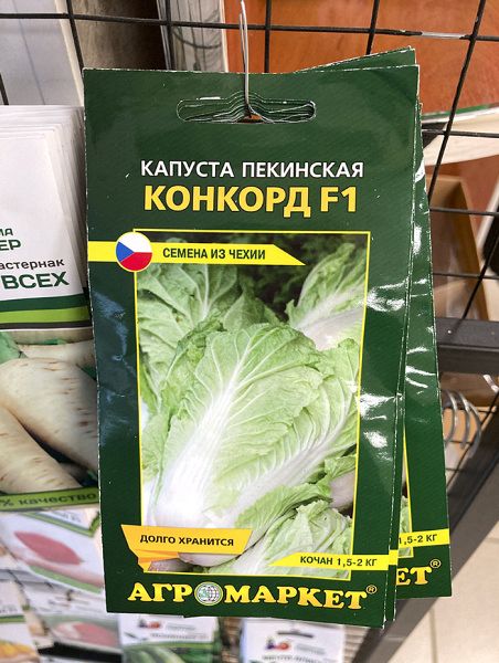 капуста пекинская Конкорд F1